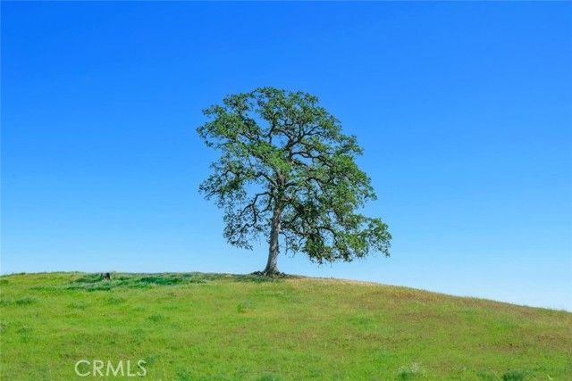 19623 Road 211, Friant, CA 93626