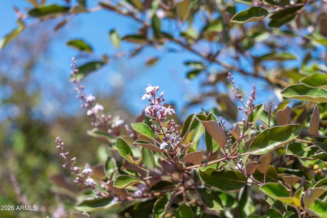 1916 N JAY Street, Chandler, AZ 85225