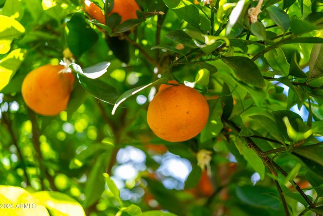 1916 N JAY Street, Chandler, AZ 85225