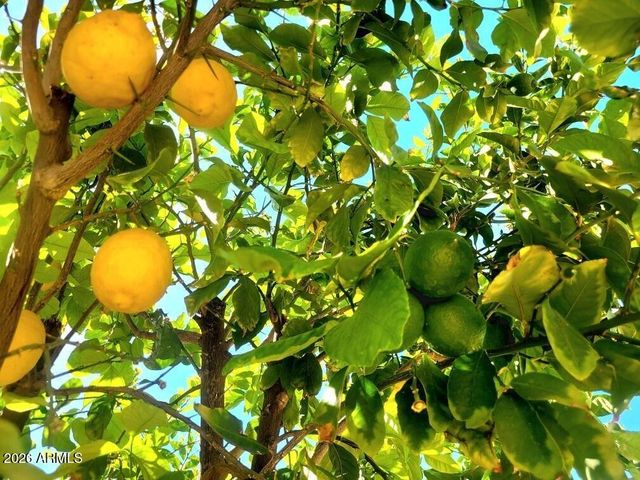 1916 N JAY Street, Chandler, AZ 85225