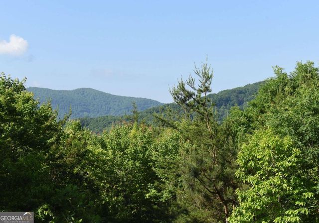 93 Deer Hunter Trail 1A, Blue Ridge, GA 30513