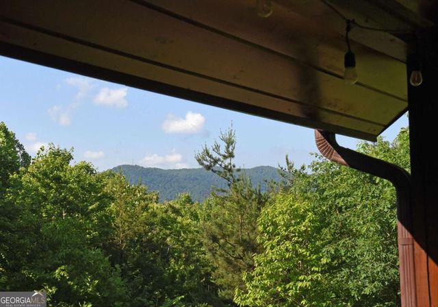 93 Deer Hunter Trail 1A, Blue Ridge, GA 30513