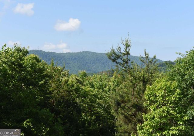 93 Deer Hunter Trail 1A, Blue Ridge, GA 30513