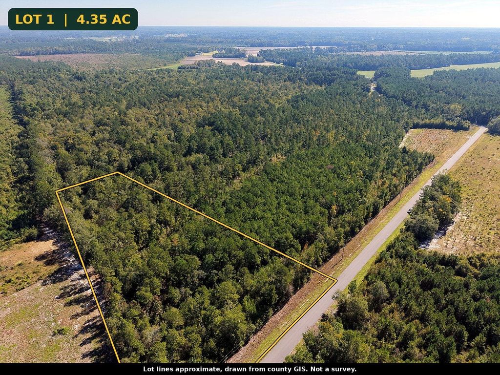 TBD Bellaire Dr., Nichols, SC 29581 — photo 3