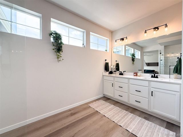 8484 Cokedale Drive, Littleton, CO 80125