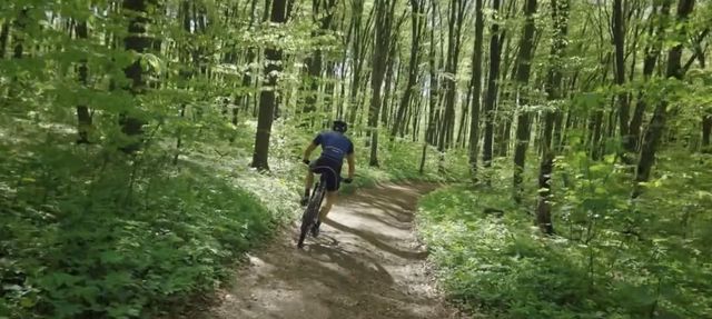 1764 Howler Way, Todd Mission, TX 77316