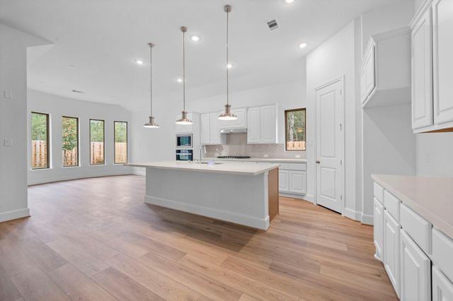 1764 Howler Way, Todd Mission, TX 77316