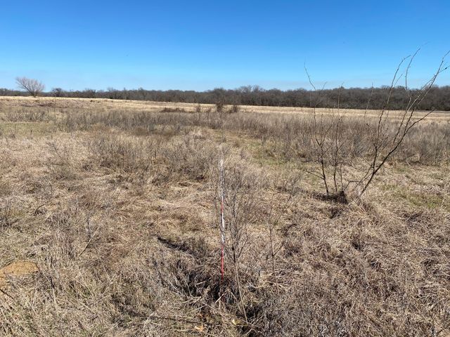 Lot 3 SE CR 2220, Corsicana, TX 75109
