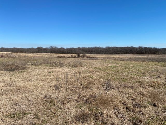 Lot 3 SE CR 2220, Corsicana, TX 75109