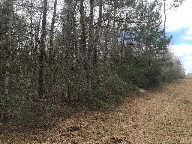 331 Hollywood Street, Livingston, TX 77351