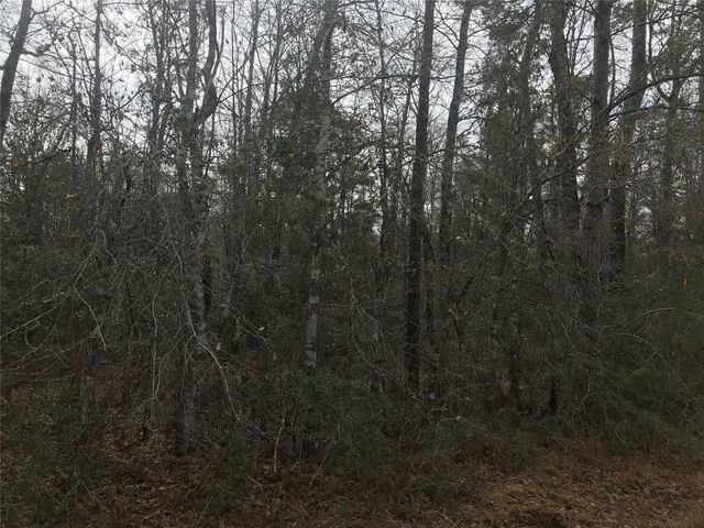 331 Hollywood Street, Livingston, TX 77351