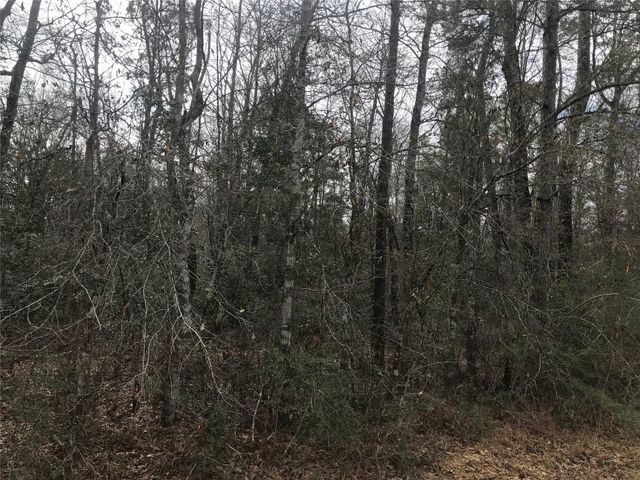 331 Hollywood Street, Livingston, TX 77351