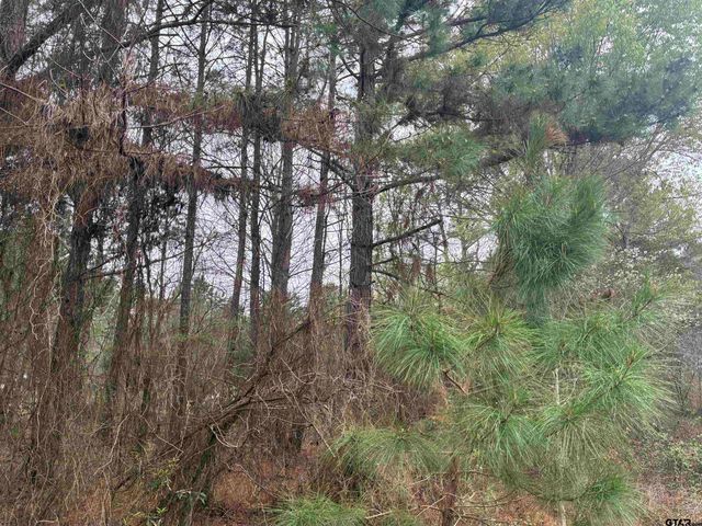 683 CR 1209, Rusk, TX 75785