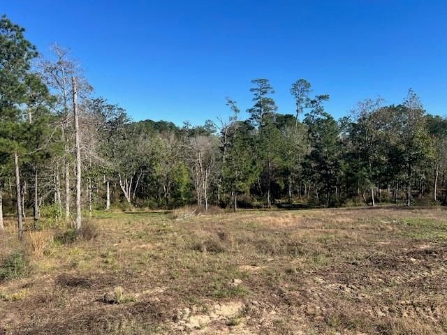 TBD LOT 26 Addison Rd, Livingston, TX 77351