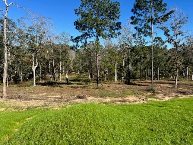 TBD LOT 26 Addison Rd, Livingston, TX 77351