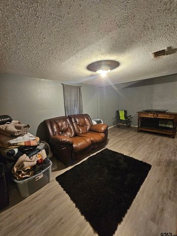 411 Green Meadow Trail, Holly Lake Ranch, TX 75765