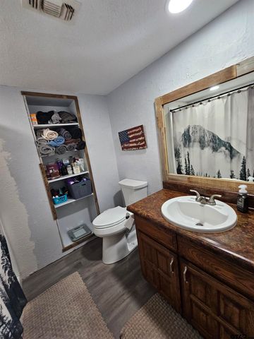411 Green Meadow Trail, Holly Lake Ranch, TX 75765