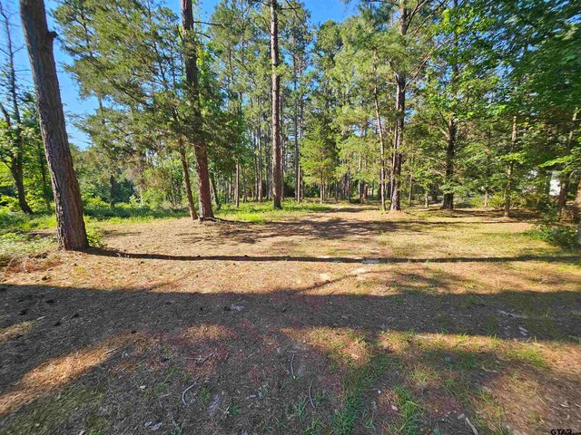 411 Green Meadow Trail, Holly Lake Ranch, TX 75765