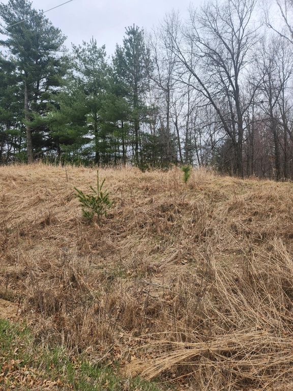 3650 253rd Avenue NE, Isanti, MN 55040 — photo 3
