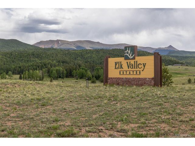 6100 Elk Valley Rd, Divide, CO 80814