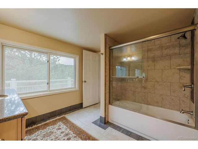 6100 Elk Valley Rd, Divide, CO 80814