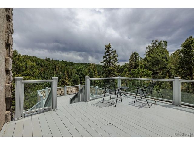 6100 Elk Valley Rd, Divide, CO 80814