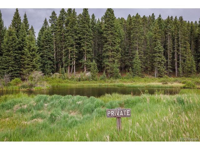 6100 Elk Valley Rd, Divide, CO 80814