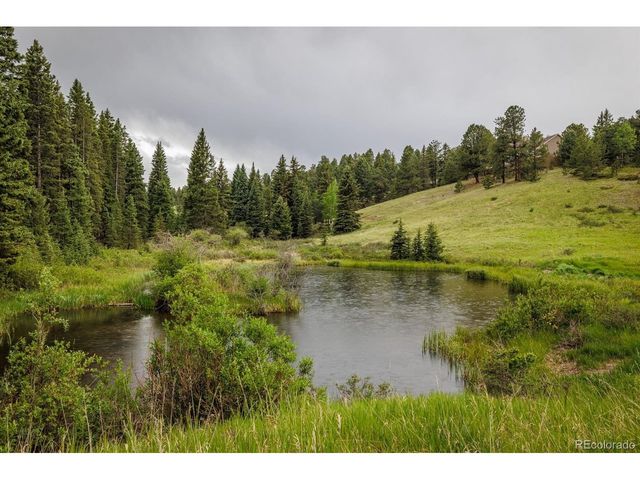 6100 Elk Valley Rd, Divide, CO 80814