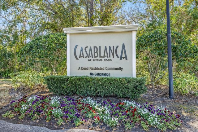 11016 BLAINE TOP PLACE, Tampa, FL 33626