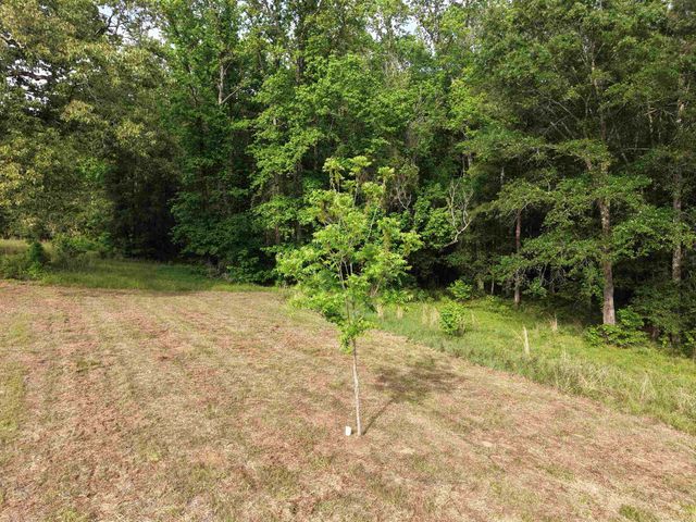 100 County Road 1926, Linden, TX 75563