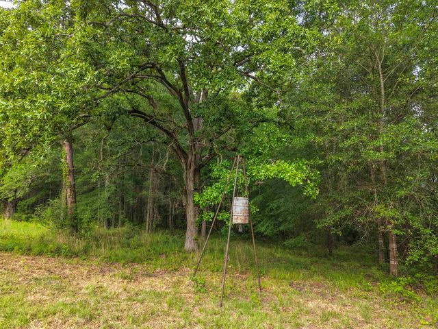 100 County Road 1926, Linden, TX 75563
