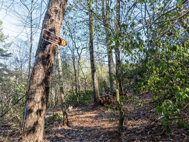 517 Ridge Road, Blue Ridge, GA 30513