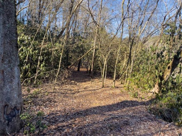 517 Ridge Road, Blue Ridge, GA 30513