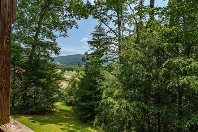 196 Hiddenwood Drive, Mountain City, TN 37683