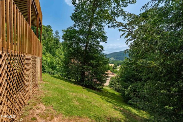 196 Hiddenwood Drive, Mountain City, TN 37683