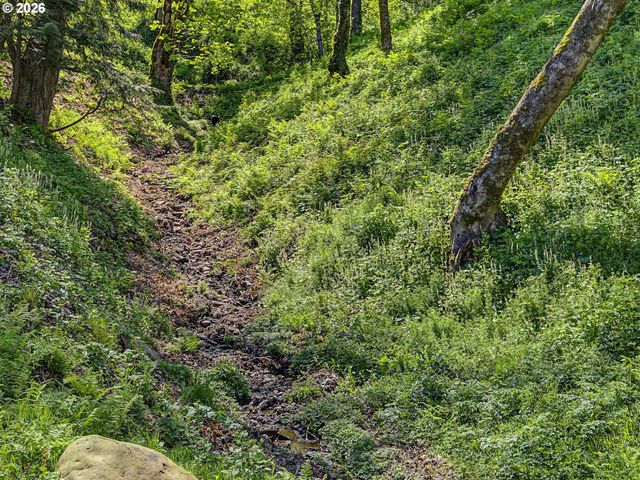 2445 Ne CORBETT HILL Rd, Corbett, OR 97019