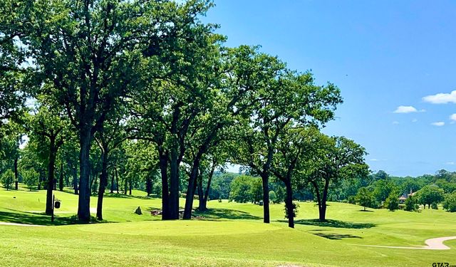 4212 Hogan Dr., Tyler, TX 75709