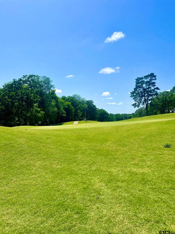 4212 Hogan Dr., Tyler, TX 75709