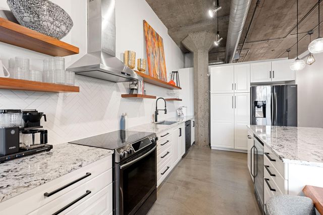 718 Washington Avenue N 505, Minneapolis, MN 55401