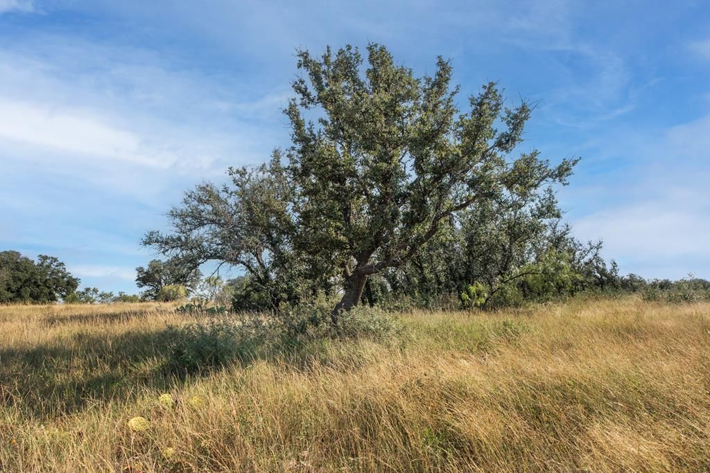 Image 1 of property listing at 2250 Buck Ridge, Melvin, TX 76858