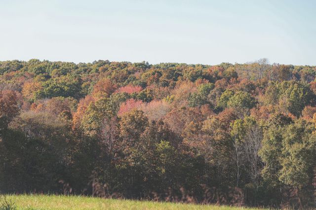 1047 Nelson Harrison Road, Evensville, TN 37332
