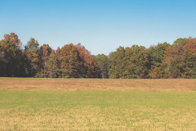 1047 Nelson Harrison Road, Evensville, TN 37332