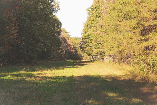 1047 Nelson Harrison Road, Evensville, TN 37332