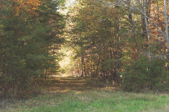 1047 Nelson Harrison Road, Evensville, TN 37332