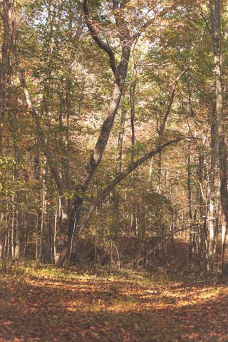 1047 Nelson Harrison Road, Evensville, TN 37332