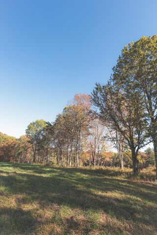 1047 Nelson Harrison Road, Evensville, TN 37332