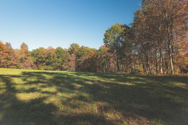 1047 Nelson Harrison Road, Evensville, TN 37332