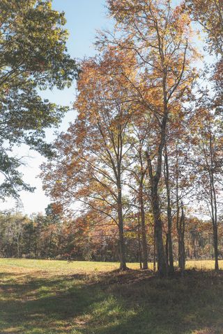 1047 Nelson Harrison Road, Evensville, TN 37332