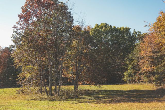 1047 Nelson Harrison Road, Evensville, TN 37332