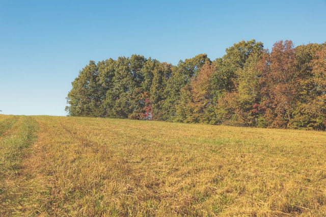 1047 Nelson Harrison Road, Evensville, TN 37332